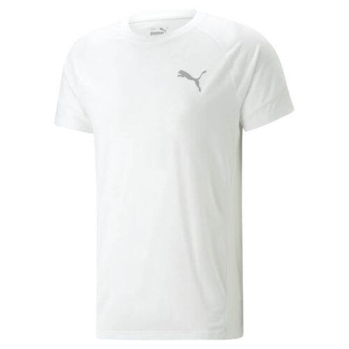 CAMISA PUMA EVOSTRIPE TEE